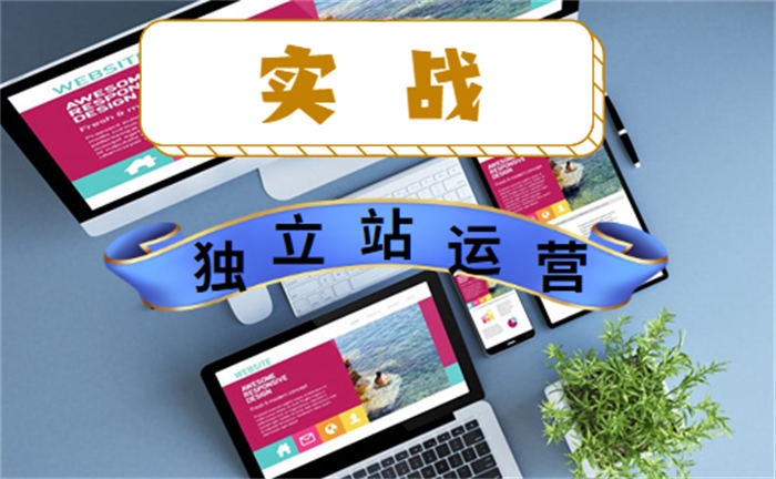 日IP量1600+,年赚百万,揭秘独立站运营项目的5个关键点!