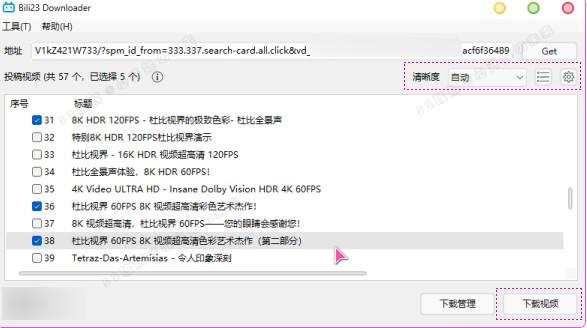 B站视频下载器 Bili23-Downloader v1.55.0 新春版,支持自动高音画质