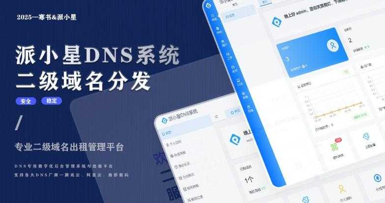 2025派小星DNS二级域名分发公测免费版 