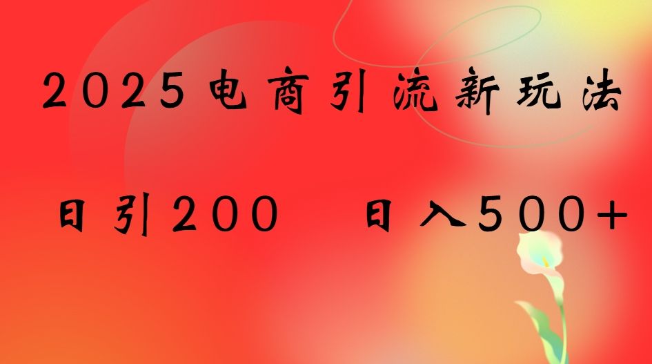 2025电商引流新玩法,日引200 日入500+